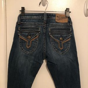 Vigoss Studio The Seattle Skinny Jeans